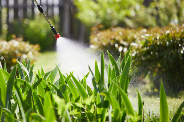 Tamper-Resistant Bait Stations for Rodents in Vonore