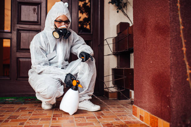 Attic and Crawl Space Rodent Treatment in Vonore