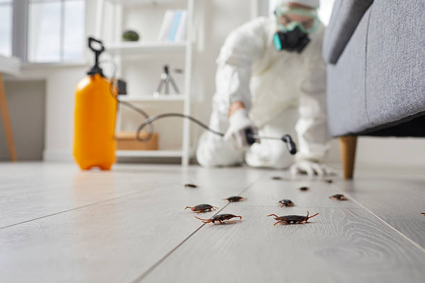 Commercial Rodent Management in Vonore